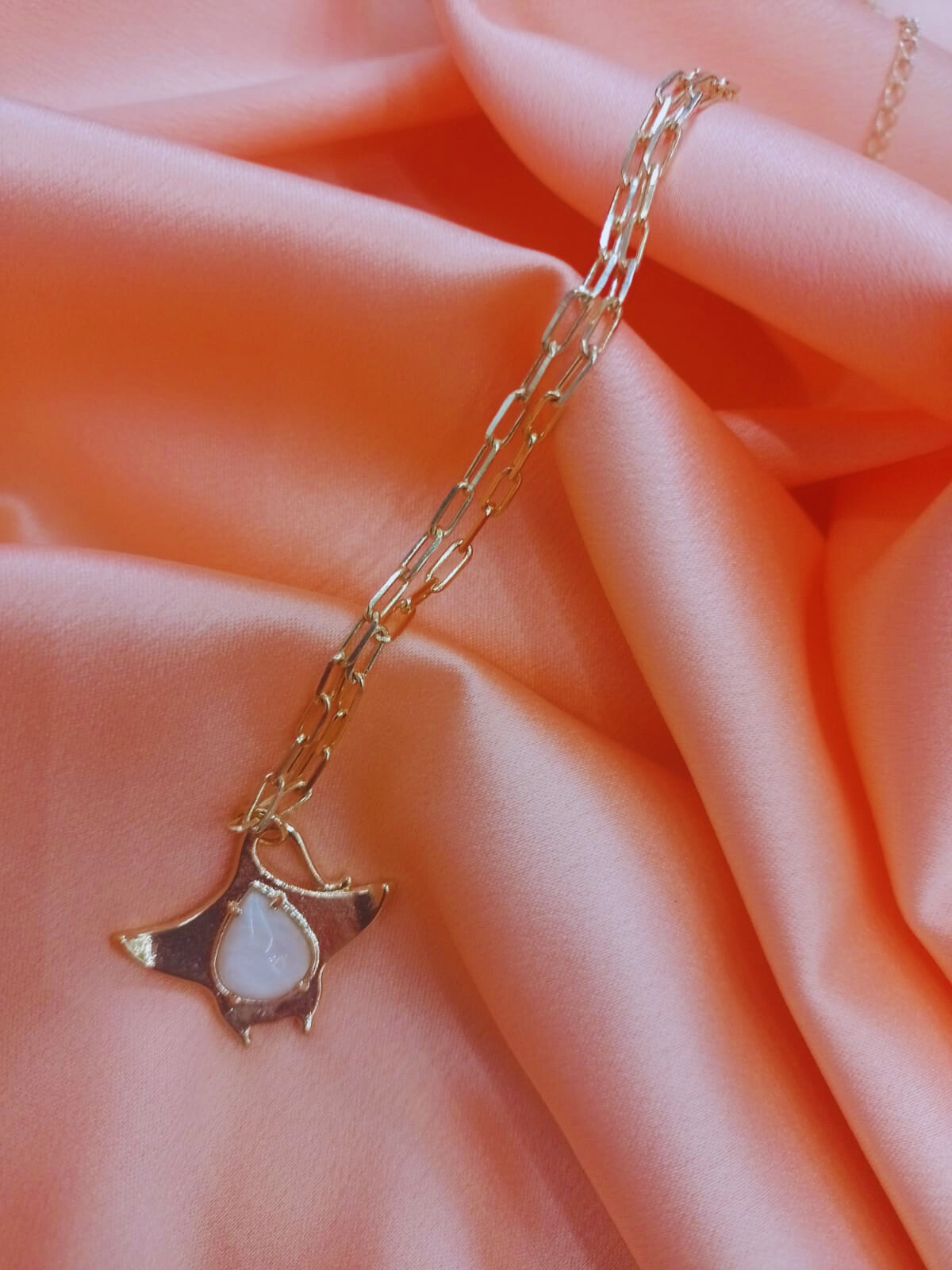 Colar Raia com Resina Banhado a Ouro 18k