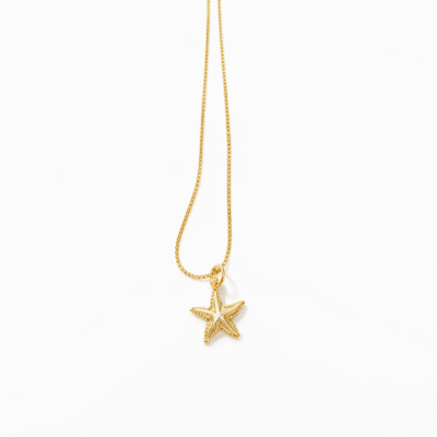 Colar Pingente Estrela Banhado a Ouro 18K